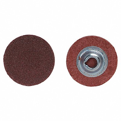 NORTON 66261138135 Quick Change Disc 1-1/2inDia Coarse 36G