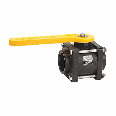 BANJO V204FP Manual 2-Way Ball Valve NPT Polypro
