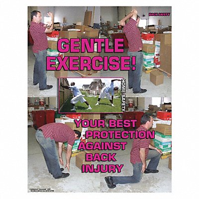SAFETYPOSTER.COM SW2017 Safety Poster 22 in x 17 in Paper
