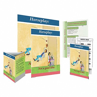 SAFETYPOSTER.COM SW0027SAFEKIT Safe System Kit Horseplay - Not ENG