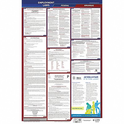 JJ KELLER 300AR3 LaborLaw Poster Fed/STA AR ENG 26inH 3yr