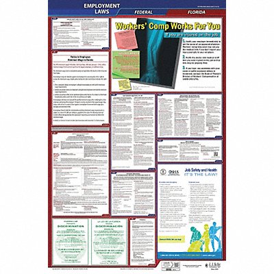 JJ KELLER 300FL3 LaborLaw Poster Fed/STA FL ENG 26inH 3yr