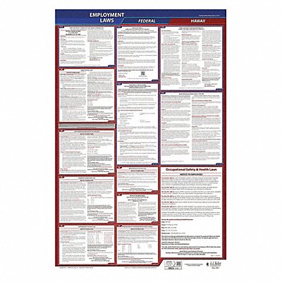 JJ KELLER 300HI3 LaborLaw Poster Fed/STA HI ENG 26inH 3yr