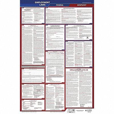 JJ KELLER 300KY1 LaborLaw Poster Fed/STA KY ENG 26inH 1yr
