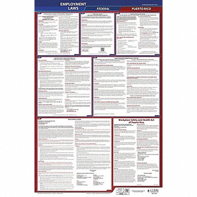 JJ KELLER 300PR3 LaborLaw Poster Fed/STA PR ENG 26inH 3yr