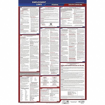 JJ KELLER 300SC LaborLaw Poster Fed/STA SC ENG 40Wx26inH