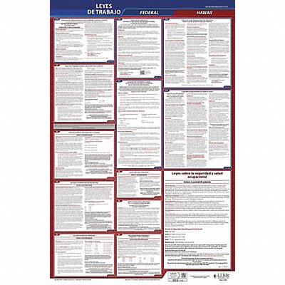 JJ KELLER 400HI3 Labor Law Poster Fed/STA HI SP 26inH 3yr
