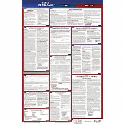 JJ KELLER 400KY3 Labor Law Poster Fed/STA KY SP 26inH 3yr