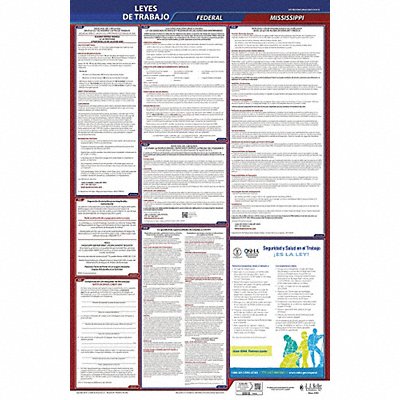 JJ KELLER 400MS Labor Law Poster Fed/STA MS SP 40Wx26inH