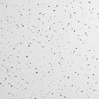 ARMSTRONG 1721B Ceiling Tile 48 in L 24 in W PK8