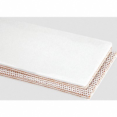APACHE INC. 2010405214 Conveyor Belt 2Ply 100 Ntrle Wht 14InW