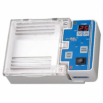 BENCHMARK RESEARCH E1101 Electrophoresis System Digital 230mL