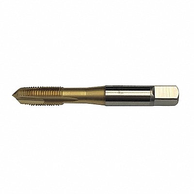 YMW TAPS 382909 Tap Spiral Point #10-24 Plug