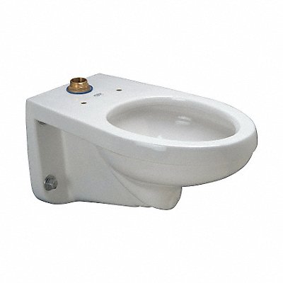 ZURN Z5615BWL Toilet Bowl Elongated Wall Flush Valve