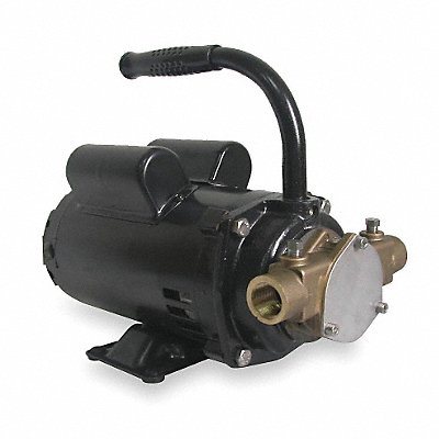 DAYTON 3ABZ5 Pump Bronze 1/2 HP 115/230V 11.2/5.6Amps