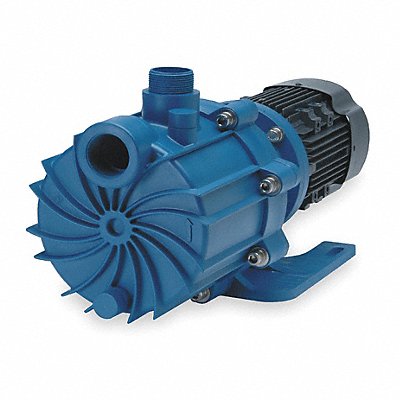 FINISH THOMPSON SP15PM209 Magnetic Drive Pump 1 1/2in MNPT 3hp PP