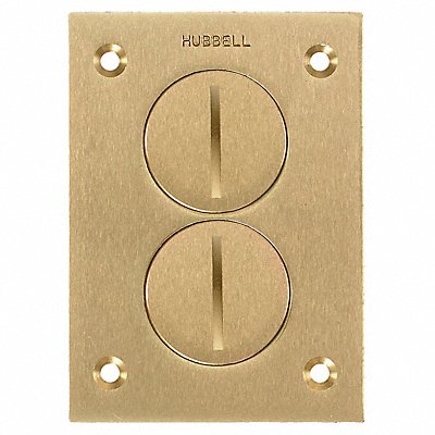 HUBBELL WIRING DEVICE-KELLEMS S3625 Floor Box Cover Rectangular 2-Gang Brass