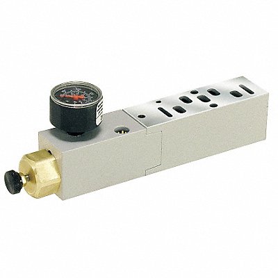 SPEEDAIRE 3GAD2 Manifold Air Regulator 145 psi 120F