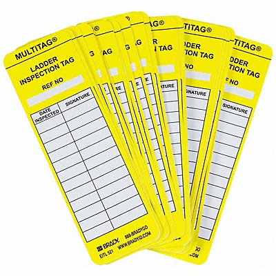 BRADY LADEITL521 Laddertag(tm) Insr 6-1/2 x 2 In PK100