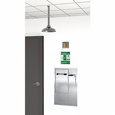 GUARDIAN EQUIPMENT GBF2150 Drench Shower With Face/Eyewash Silver