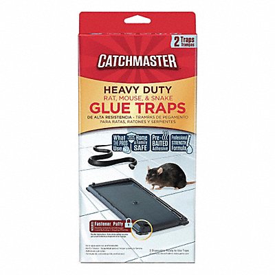 CATCHMASTER 404SD Glue Trap 1/4 in H PK2
