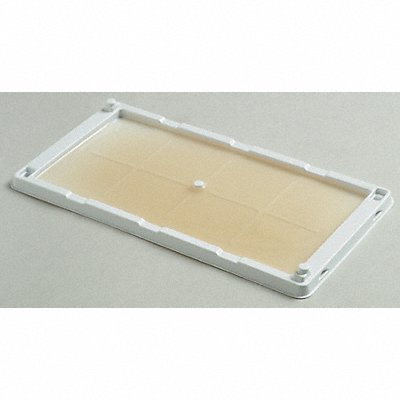 CATCHMASTER 48WRG Glue Trap 10 1/4 in H White PK2