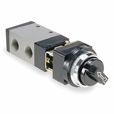 ARO M252LS10 Manual Air Control 3-Way 2-Position 1/4