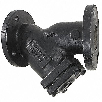 MUELLER STEAM SPECIALTY 2758N Y Strainer 8 1/2 H 0.062 Perf Cast Iron