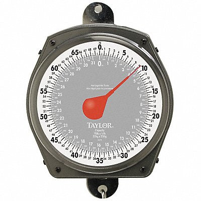 TAYLOR 3470410410 Hanging Scale Dial 32kg/70 lb Capacity