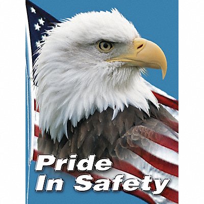 ACCUFORM SP124511L Safety Poster 22 in x 17 in Plastic