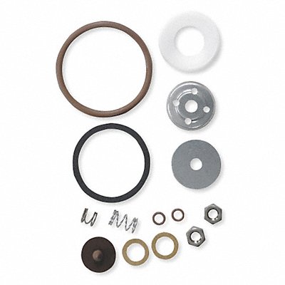 CHAPIN 64628 Sprayer Repair Kit Viton 0.5 gpm