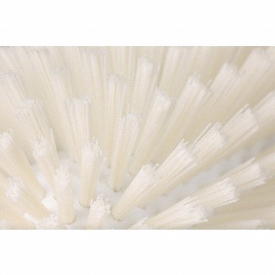 SPARTA 40043EC02 White Brush 2 per case