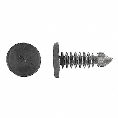 GRAINGER 8172PK Push In Rivet Black Dome 21/32 L PK50