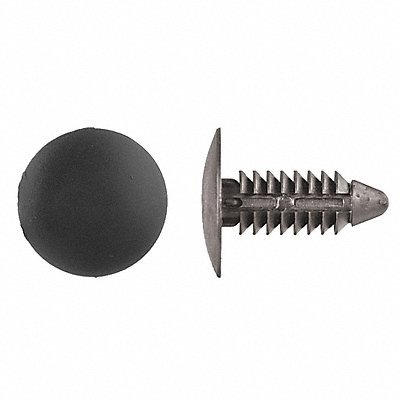 GRAINGER 5625PK Push In Rivet Black Dome 13/16 L PK100