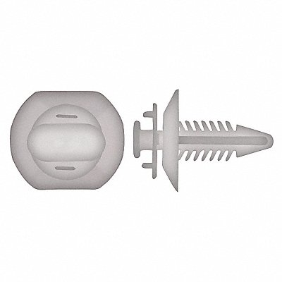 GRAINGER 4020PK Nylon Retainers Natural Dome 21mm L PK25