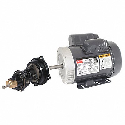 DAYTON 41TK05 Rotary Pump 1Phase 125psi Cst Iron 1HP