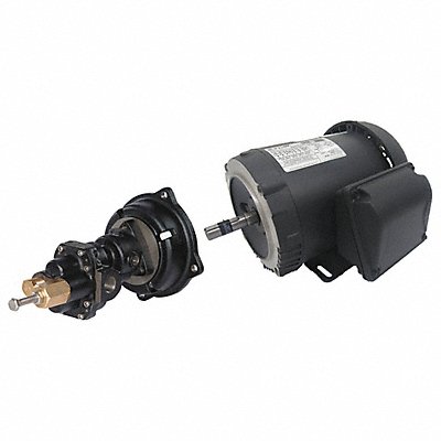 DAYTON 41TK18 Rotary Pump 125psi Cast Iron 1-1/2HP