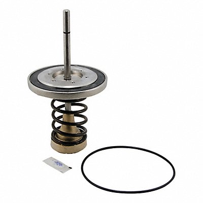 WATTS 90961stCheckKit Repair Kit Watts Series 909 6 In