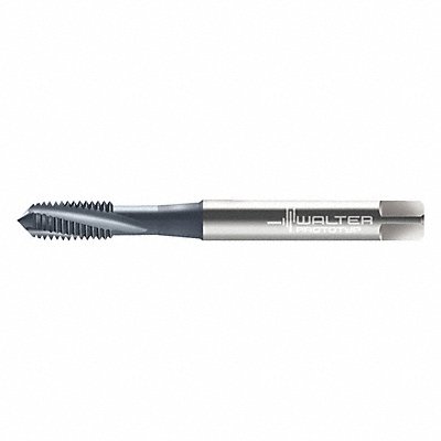 WALTER PROTOTYP 2041006M10 Spiral Flute Tap M10x1.50 HSS