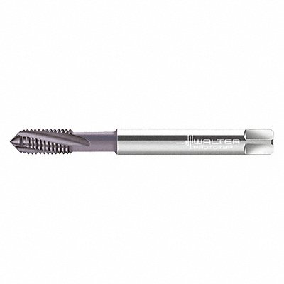 WALTER PROTOTYP 2141663M10X1 Spiral Flute Tap M10x1.00 HSS
