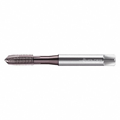 WALTER PROTOTYP EP2021302M6 Spiral Point Tap M6x1 HSS