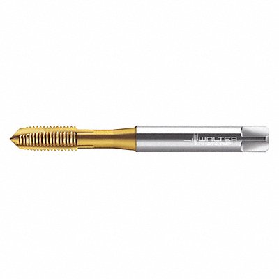 WALTER PROTOTYP EP2021305M5 Spiral Point Tap M5x0.8 HSS