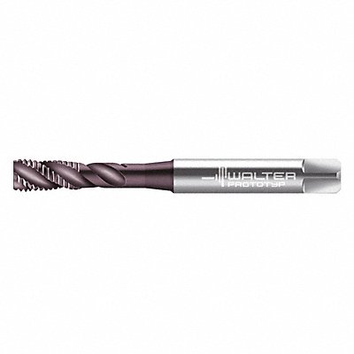WALTER PROTOTYP EP2251312UNC14 Spiral Flute Tap 1/4 -20 HSS-E