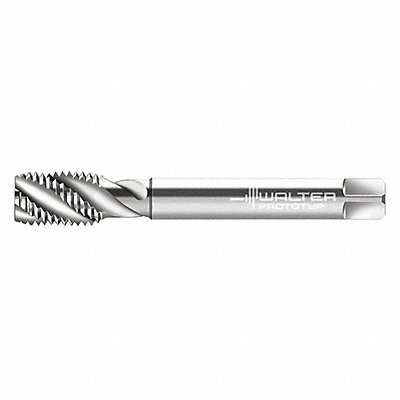 WALTER PROTOTYP P20569M60 Spiral Flute Tap M60x5.50 HSS