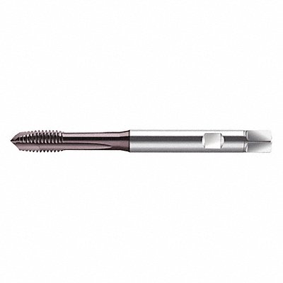 WALTER PROTOTYP S2021302M8 Spiral Point Tap M8x1.25 HSS