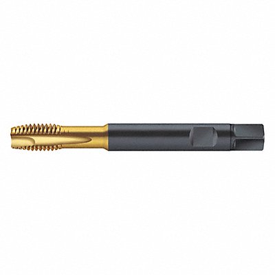 WALTER PROTOTYP S2026305M12 Spiral Point Tap M12x1.75 HSS