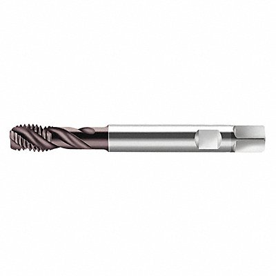 WALTER PROTOTYP S2056302M12 Spiral Flute Tap M12x1.75 HSS