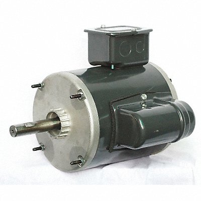DAYTON GGS47556 Motor 1/3 HP 825 Non-Standard 115V