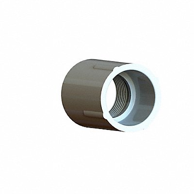 GRAINGER 435007BC Female Adaptor 3/4 in Schedule 40