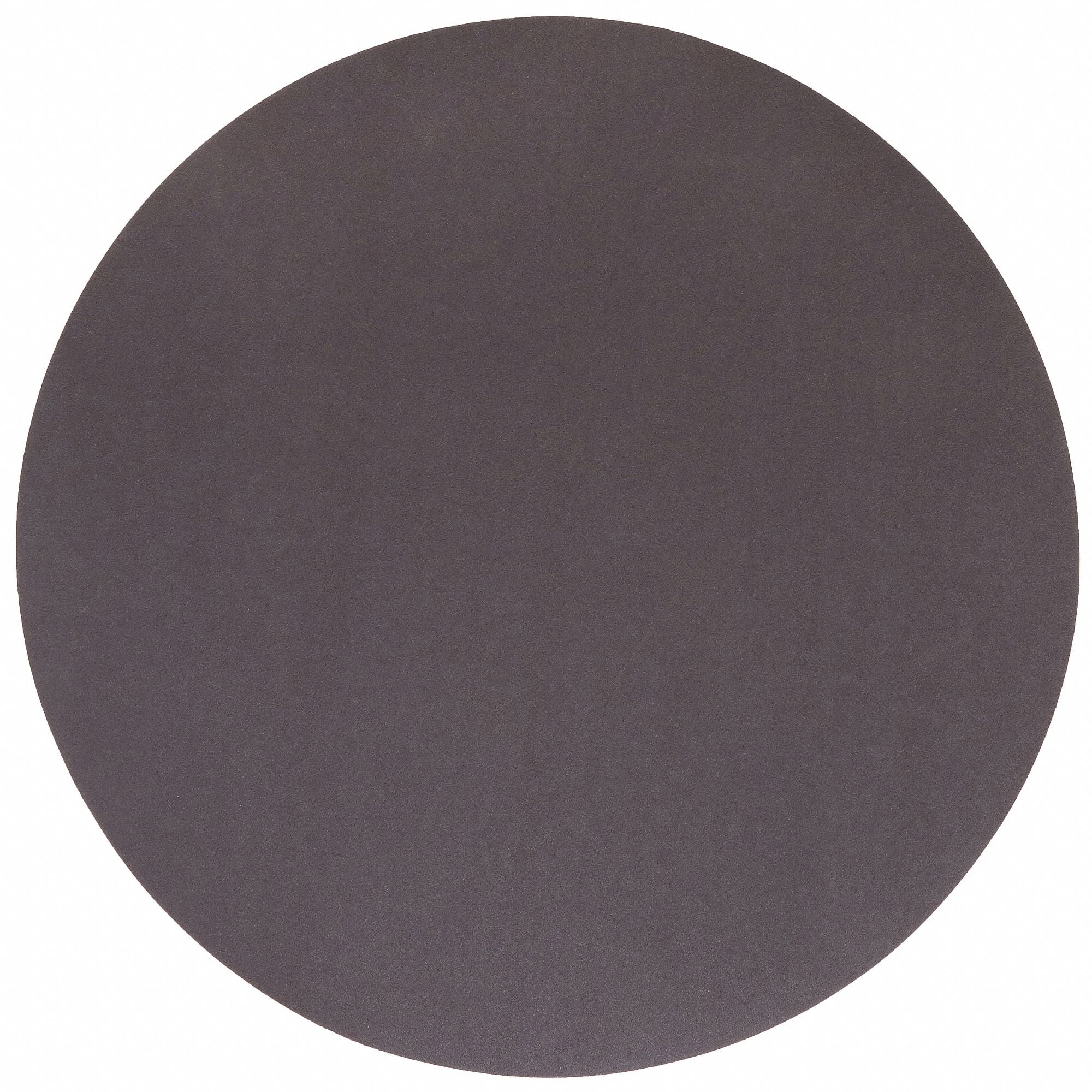NORTON 66261127645 PSA Sanding Disc 20 in Dia 120 G